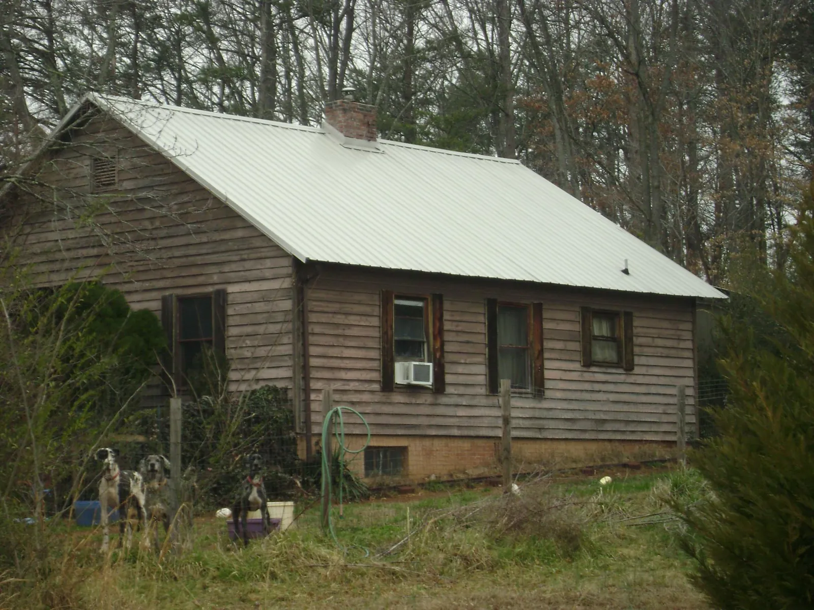 White metal roof on an old wood sided farmhouse, from a Asphalt Shingle Roof Repair job in Jerico Springs